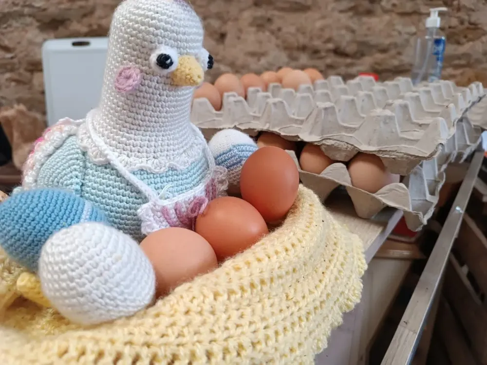 photo d'une poule tricoté avec des oeufswebp